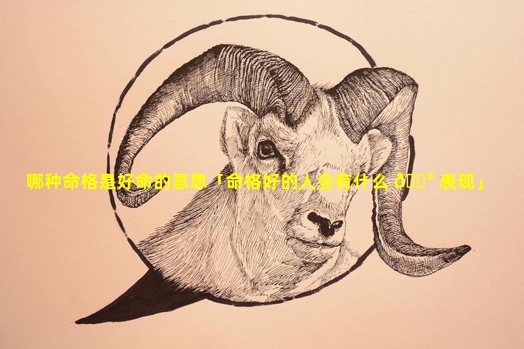 哪种命格是好命的意思「命格好的人会有什么 🐳 表现」